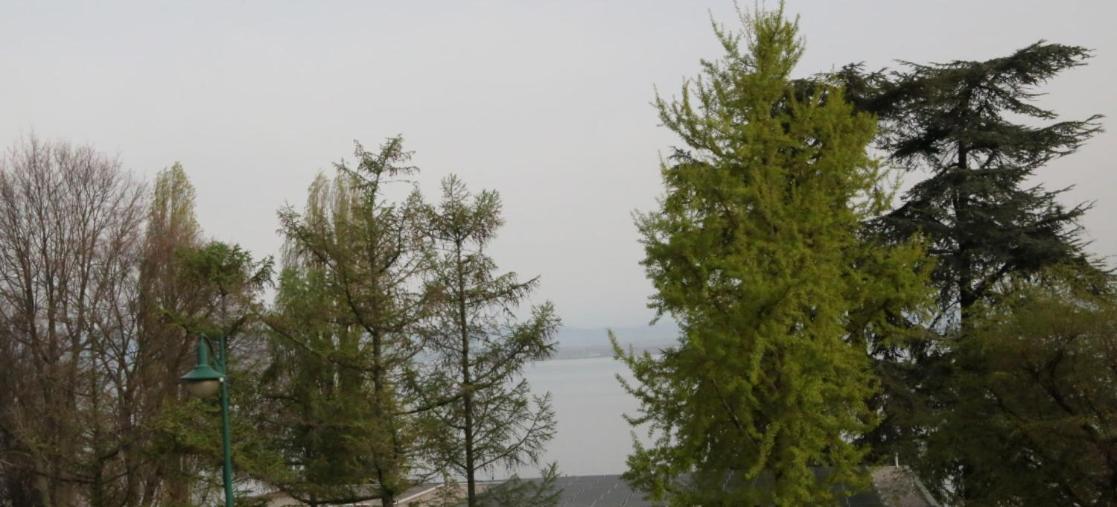 Magnifique T3 Face Au Lac Évian-les-Bains Екстериор снимка